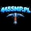 Minecraft server logo