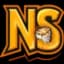 nssv.pl logo