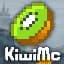 Minecraft server logo