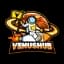 venushub.pl logo