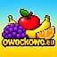 owockowo.eu logo