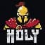 Ikona serwera holyrpg.pl