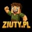Minecraft server logo