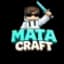 Minecraft server logo